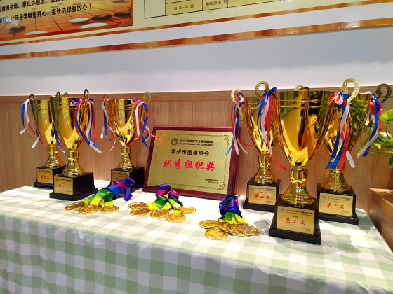 2023“灣區(qū)杯”少兒圍棋邀請賽清源小棋手共斬獲14項個人前八名、5項團體前三名